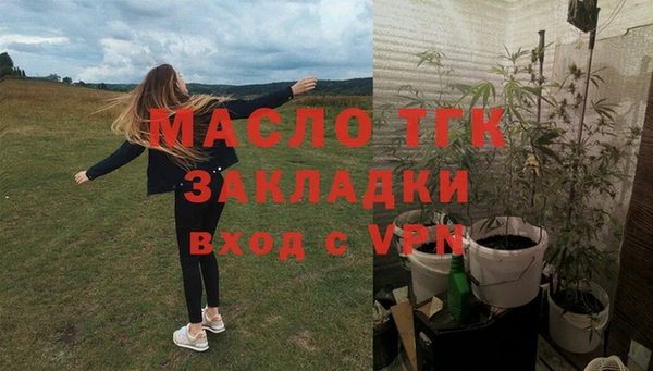 гидра Гусь-Хрустальный