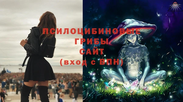 гидра Гусь-Хрустальный