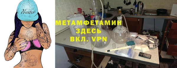 гидра Гусь-Хрустальный