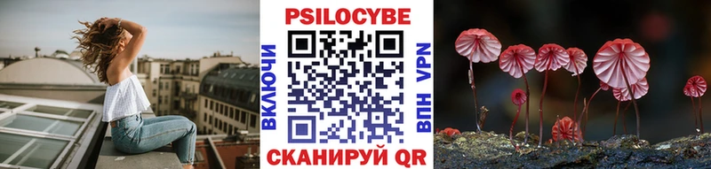 Галлюциногенные грибы GOLDEN TEACHER  кракен сайт  Новомосковск 